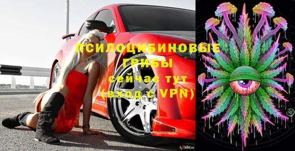 хмурый Бронницы