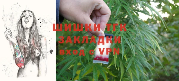 хмурый Бронницы