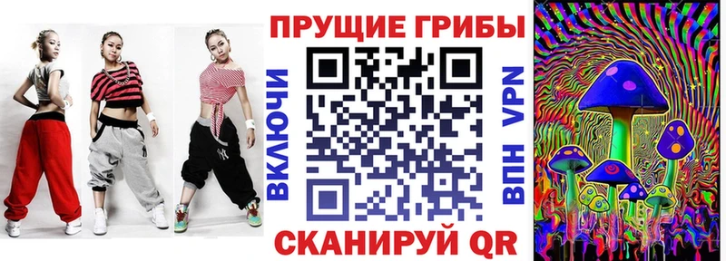Купить закладки  Усть-Кут  Галлюциногенные грибы Cubensis 